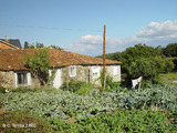 Pereira de Vilanova