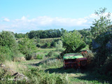 Pereira de Vilanova