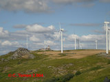 Serra do Burgo