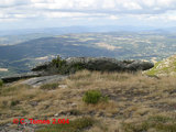 Serra do Burgo