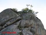 Excursión al Penedo