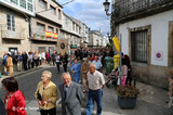 Fiestas del Cristo 2.014