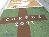 Corpus 2011